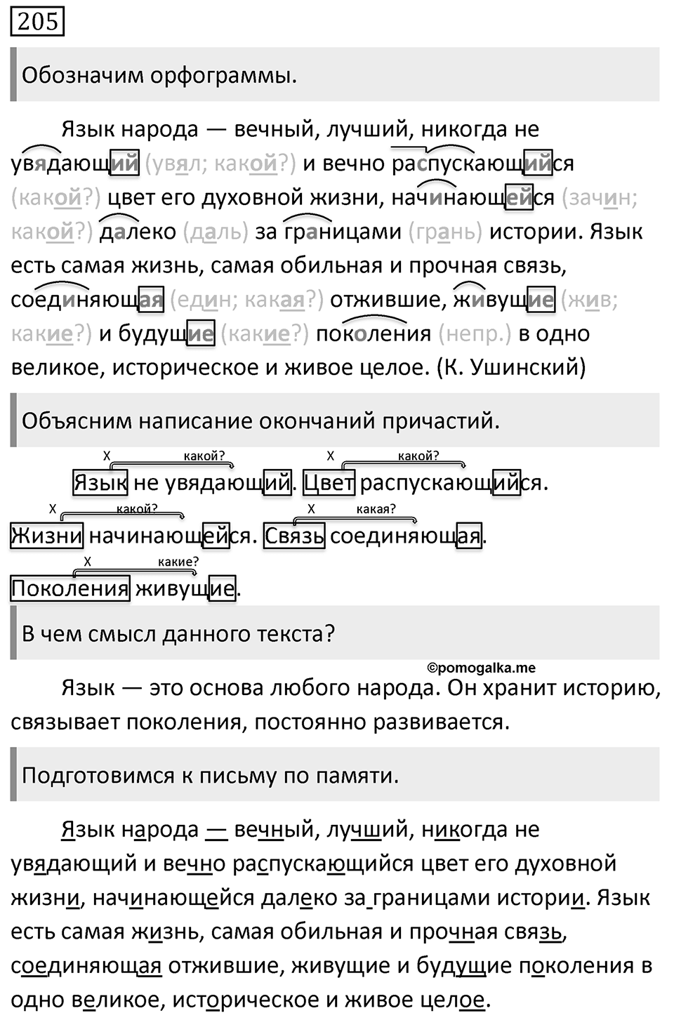 Упражнение 205 — решение 1