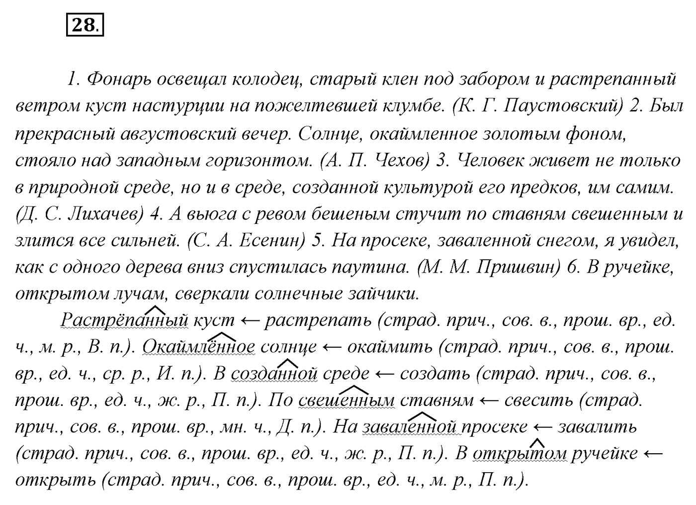 Упражнение №28 — решение 1