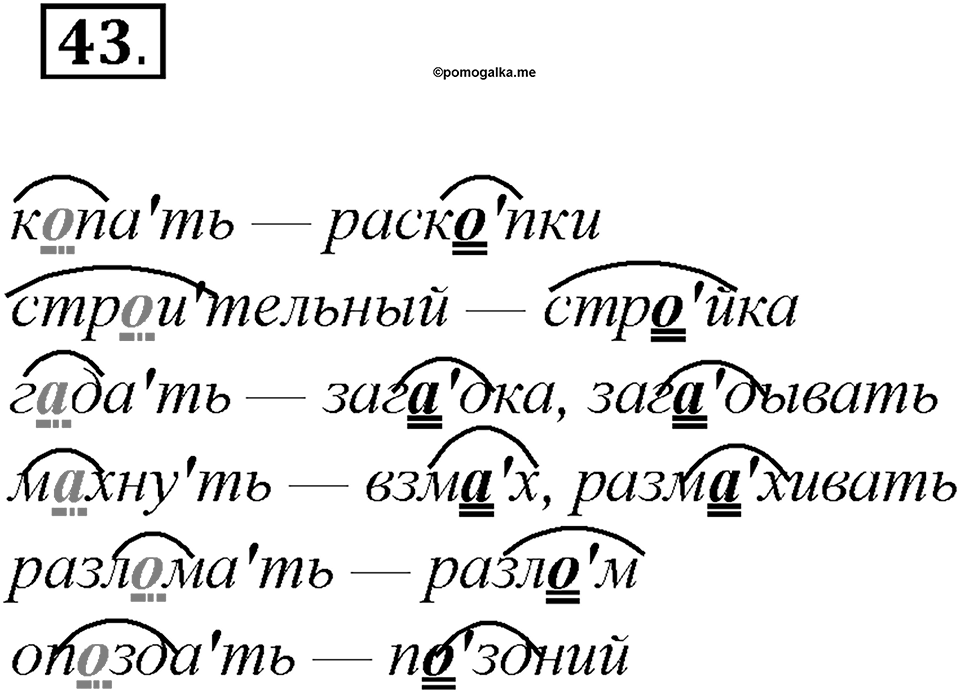 Какие языки-предки были русского языка?. Глава 2. Упражнение 43 — решение 1