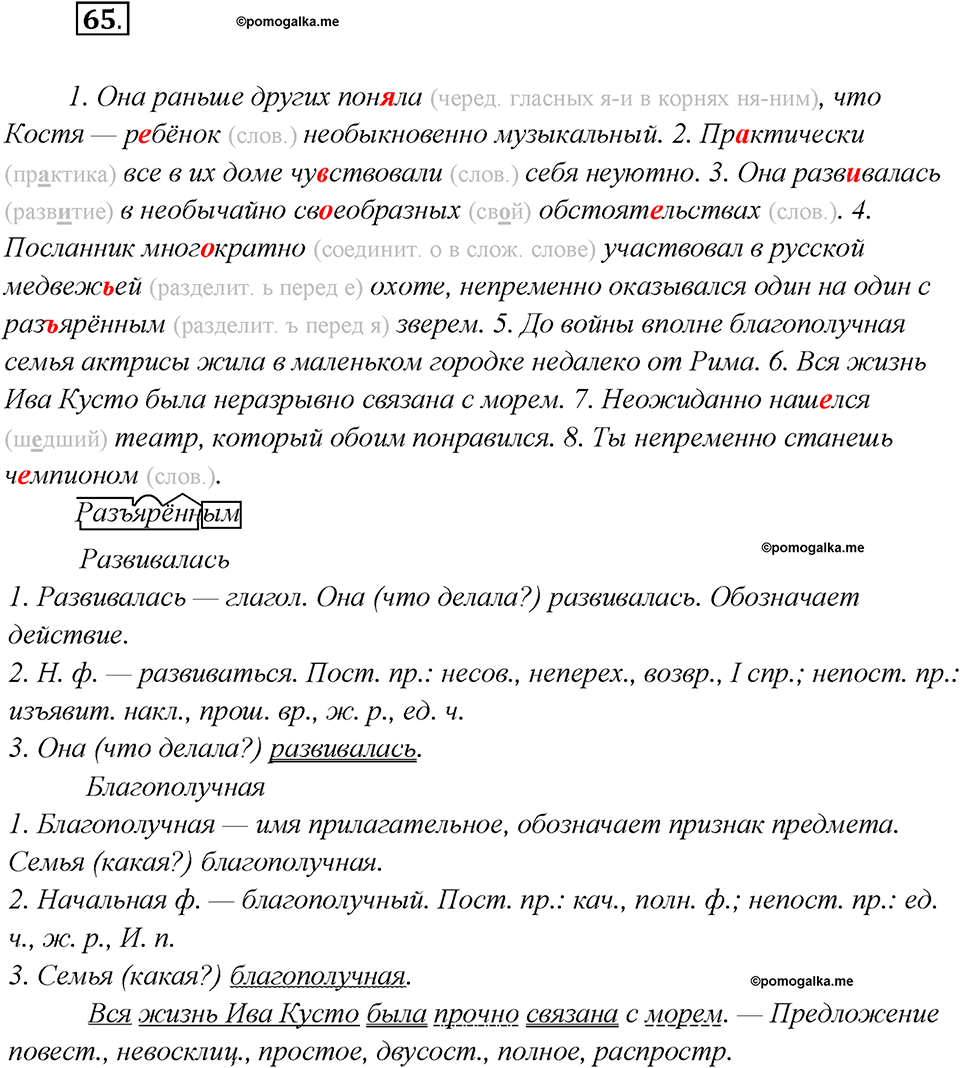 Какие языки-родственники есть у русского языка?. Глава 3. Упражнение 65 — решение 1