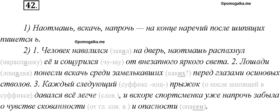 Какие языки-родственники есть у русского языка?. Глава 3. Упражнение 42 — решение 1