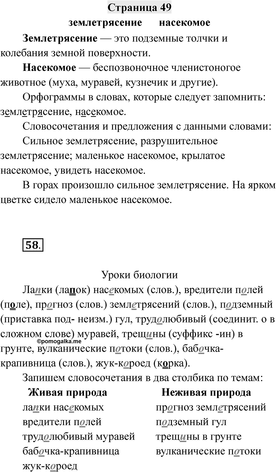 Страница 49 — решение 1