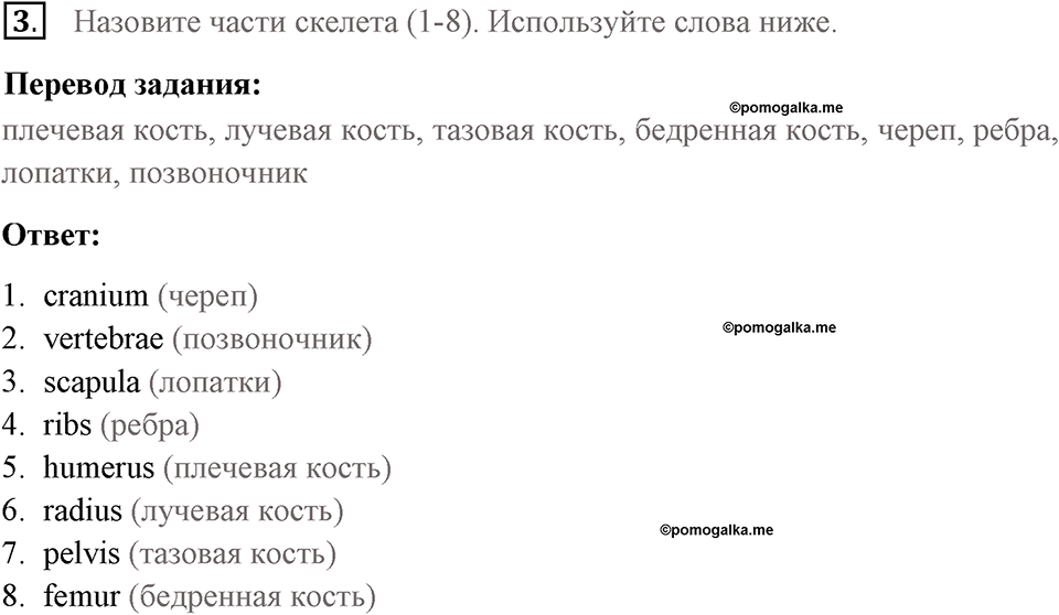 Страница 136. Extra contents. Across the curriculum. Задание №3 — решение 1