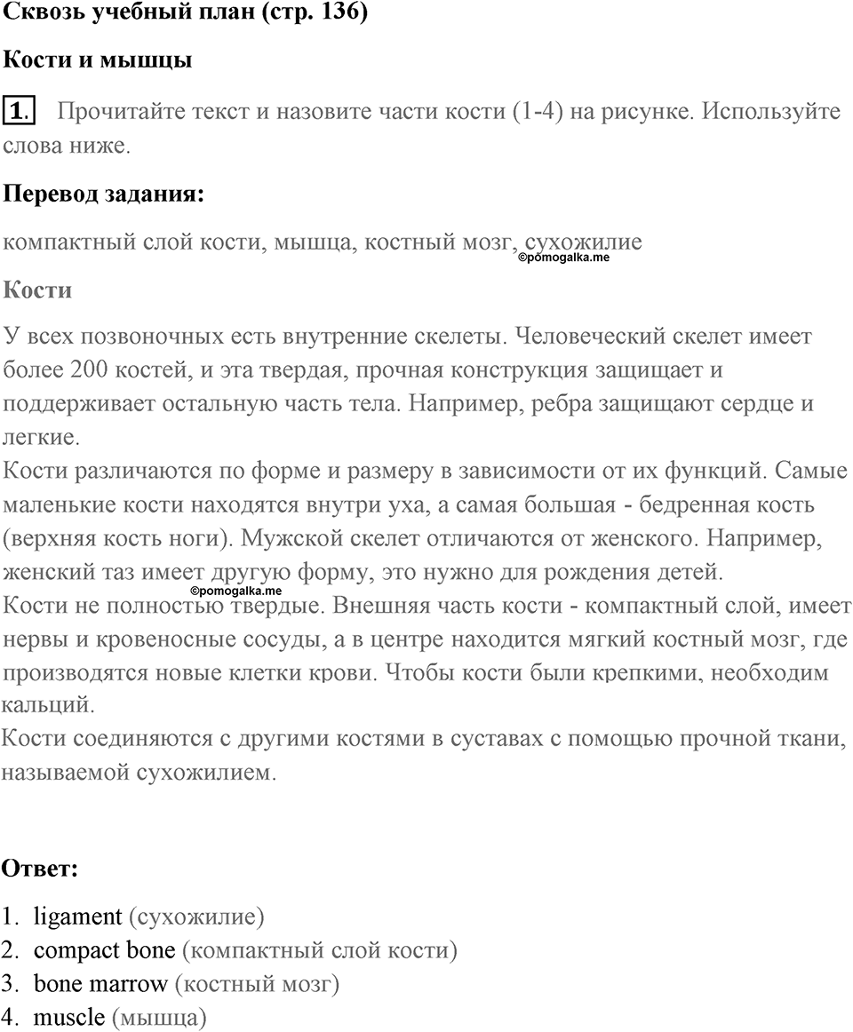 Страница 136. Extra contents. Across the curriculum. Задание №1 — решение 1