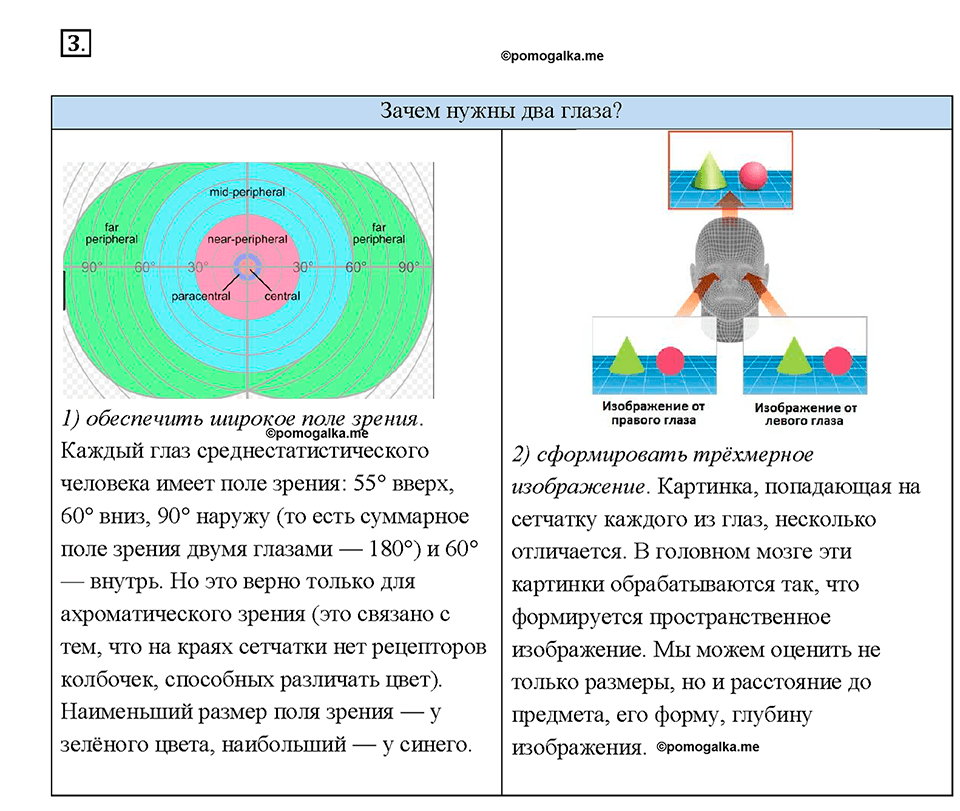 Глава 4. Световые явления. §70. Глаз и зрение. Вопрос №3 — решение 1