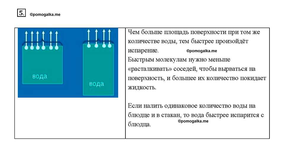 Глава 1. Тепловые явления. §16. Испарение. Насыщенный и ненасыщенный пар. Вопрос №5 — решение 1