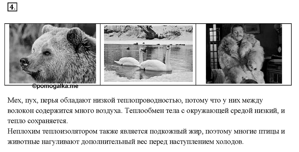 Глава 1. Тепловые явления. §4. Теплопроводность. Вопрос №4 — решение 1