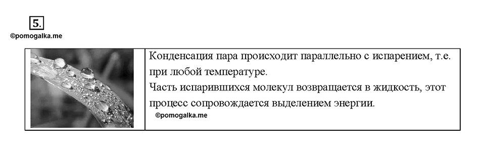 Глава 1. Тепловые явления. §17. Поглощение энергии при испарении жидкости и выделение её при конденсации пара. Вопрос №5 — решение 1