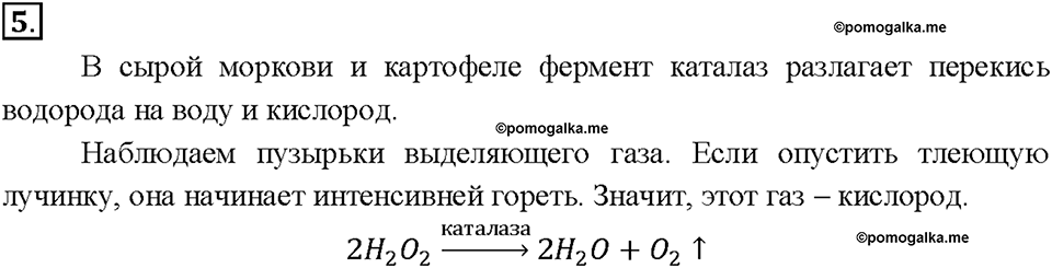 Глава 4. Изменения, происходящие с веществами. §31. Задание №5 — решение 1