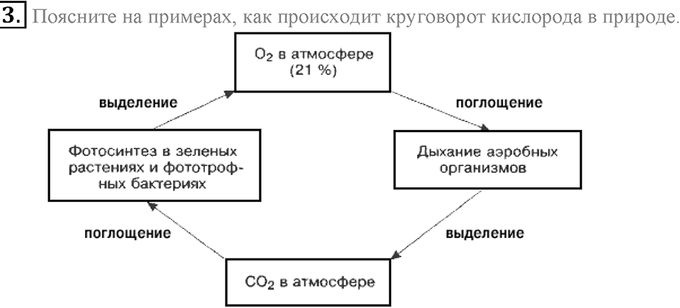 Кислород. Горение. §24. Применение кислорода. Круговорот кислорода в природе. Параграф §24 Подумай, ответь, выполни №3 — решение 1