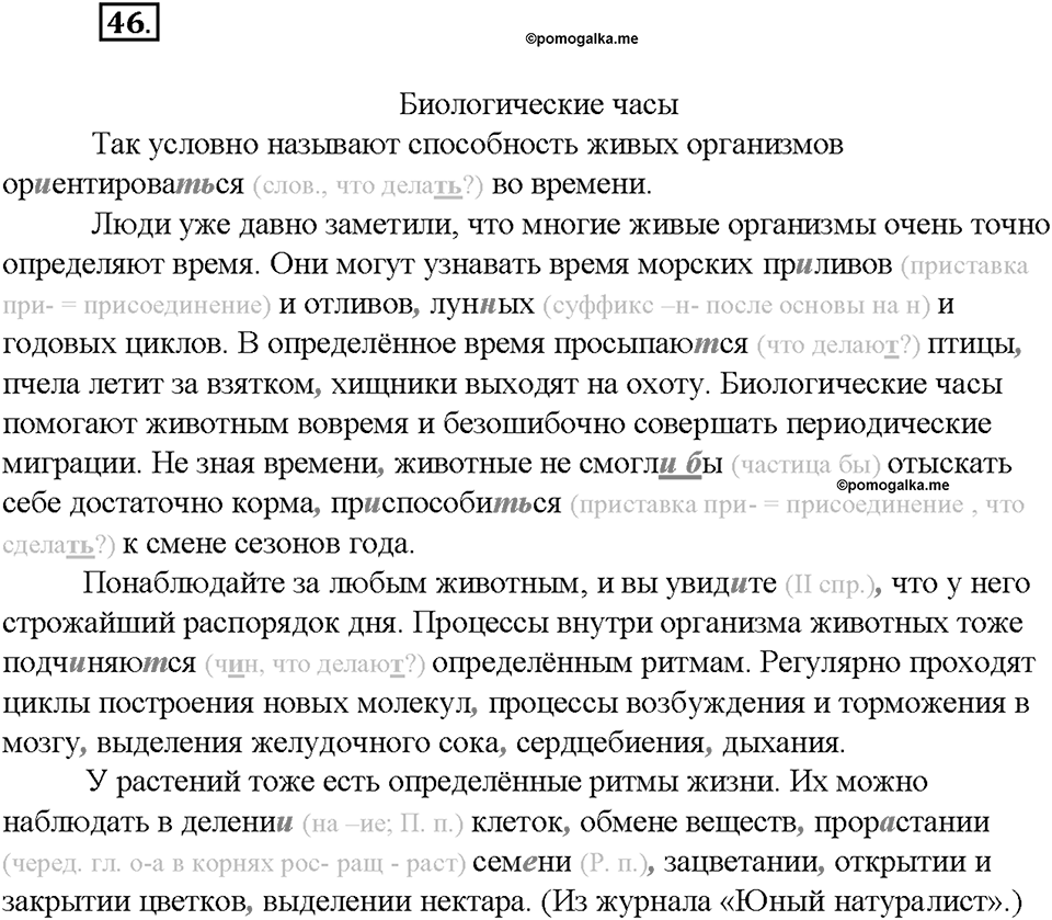 Упражнение №46 — решение 3