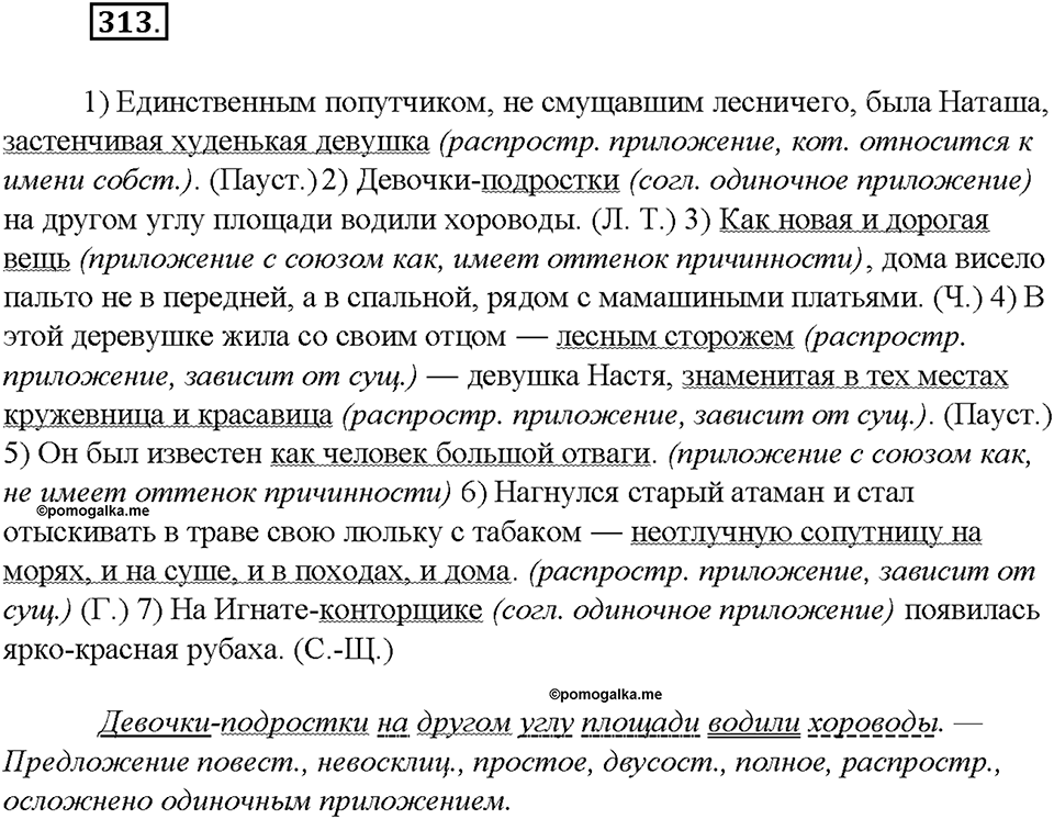 Упражнение №313 — решение 3