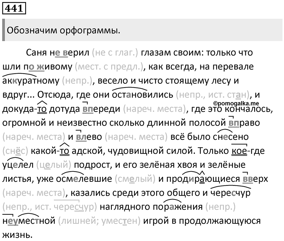 Упражнение 441 — решение 1