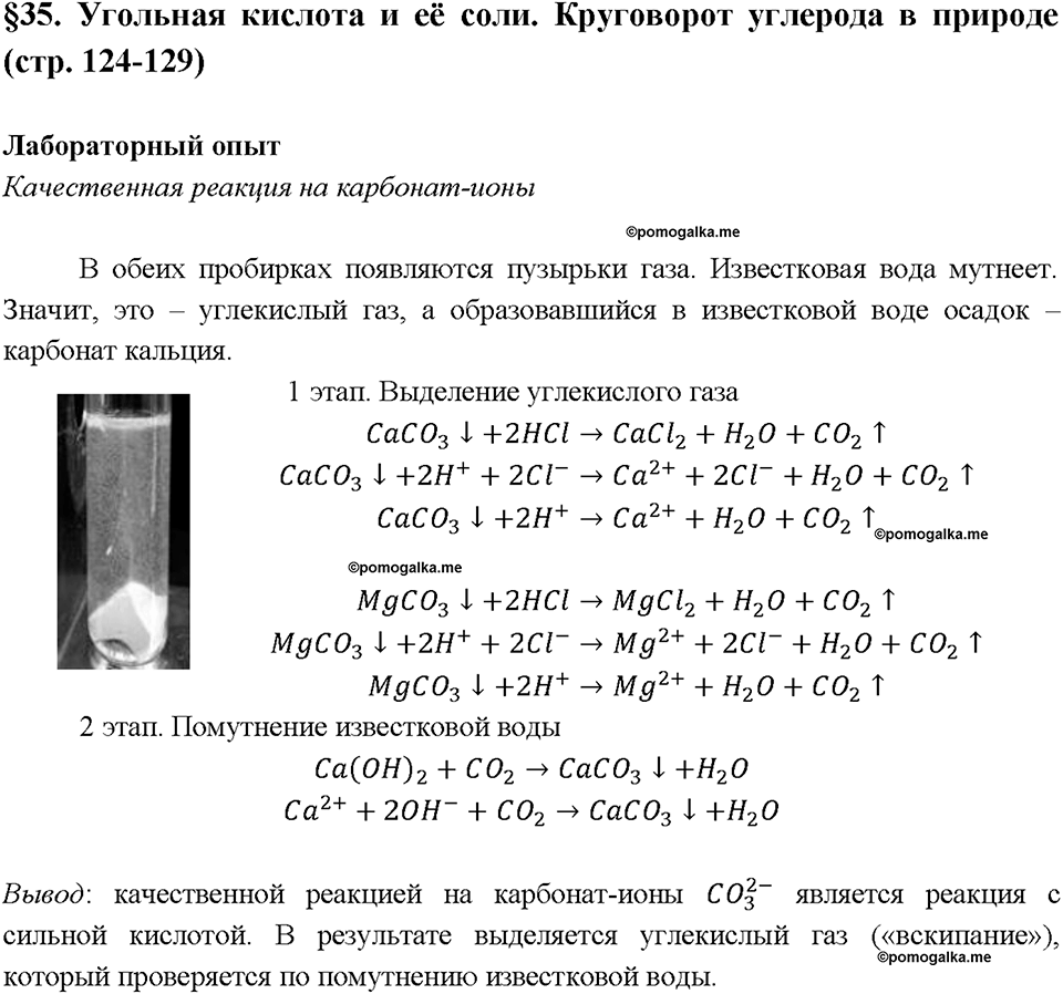 Глава шестая. Углерод и кремний. §35. Угольная кислота и ее соли. (стр. 124-129). Лабораторный опыт. Задание №1 — решение 1