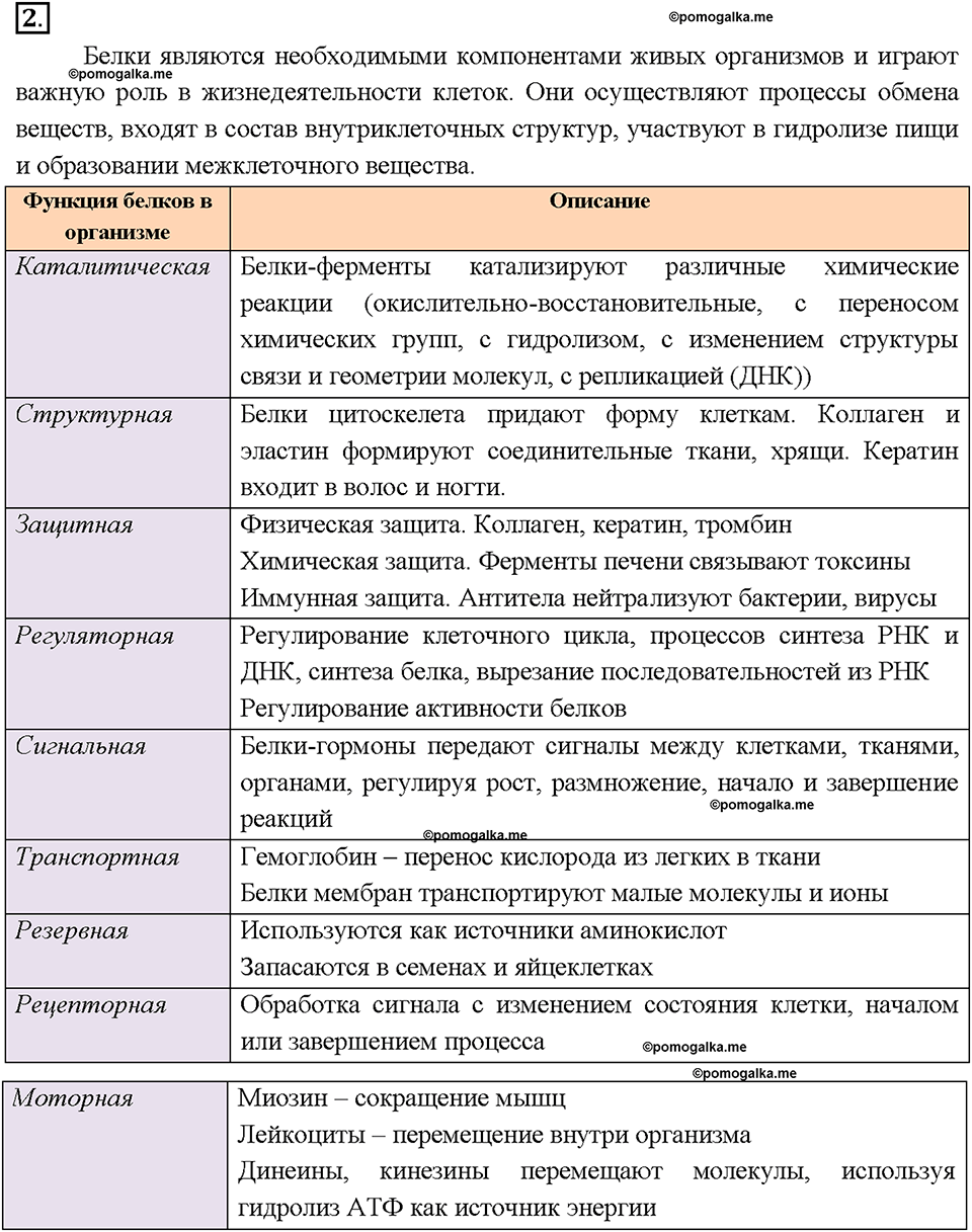Глава восьмая. Первоначальные представления об органических веществах. §58. Аминокислоты. Белки. (стр. 198-199). Подумай, ответь, выполни. Задание №2 — решение 1
