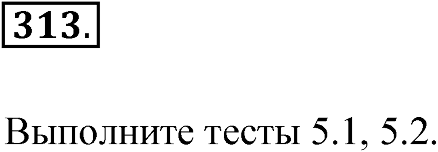 Упражнение №313 — решение 1