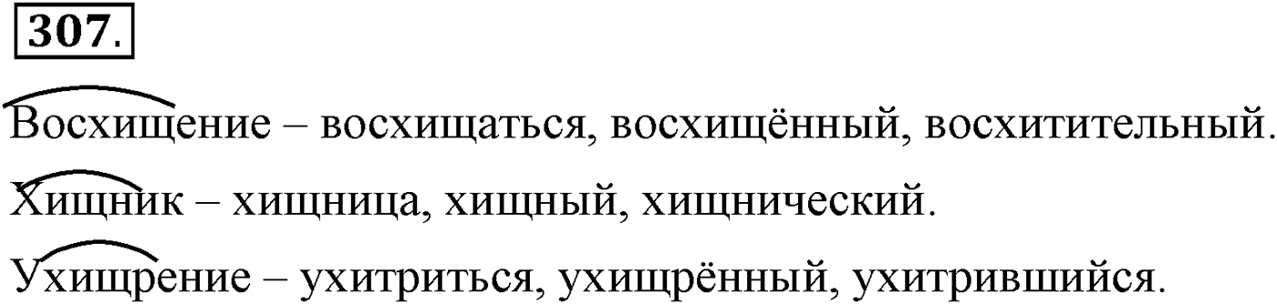 Упражнение 307 — решение 1