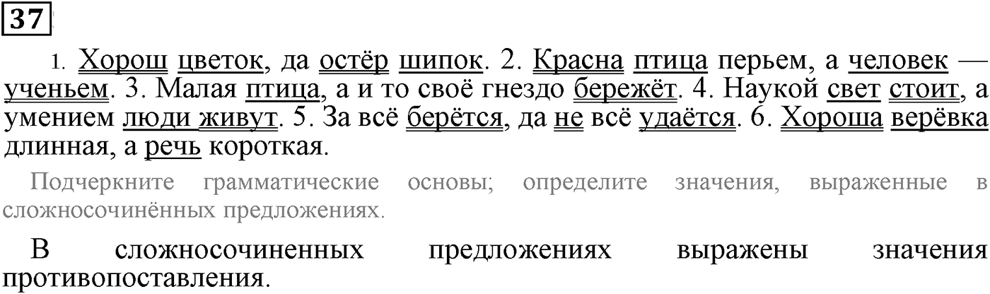 Знаки препинания в сложносочинённых предложениях. Упражнение 37 — решение 1
