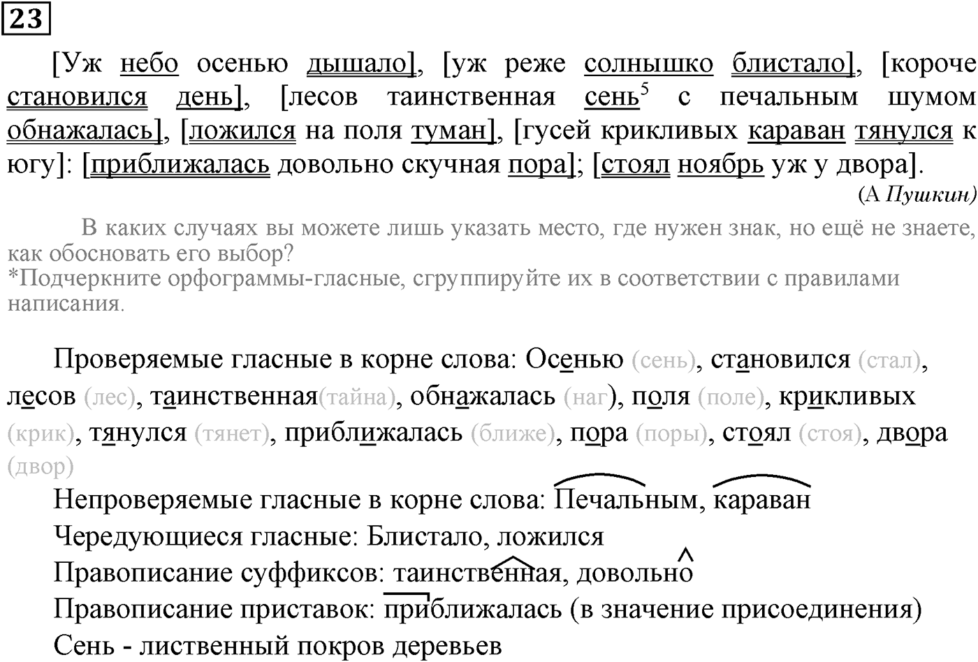 Основные виды сложных предложений. Упражнение 23 — решение 2