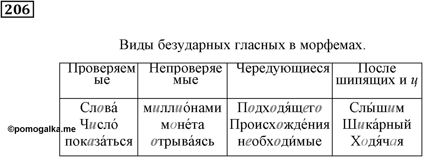 Повторим орфографию. Упражнение 206 — решение 1