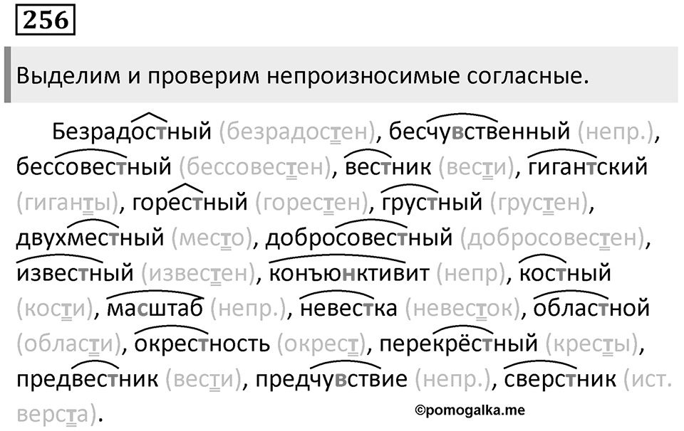 Предложения с косвенной речью. Упражнение 256 — решение 1