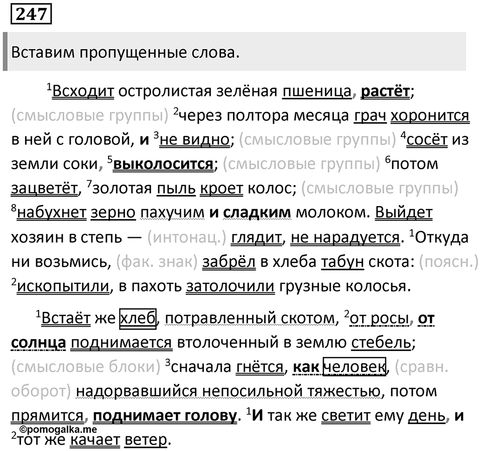Предложения с прямой речью. Упражнение 247 — решение 1