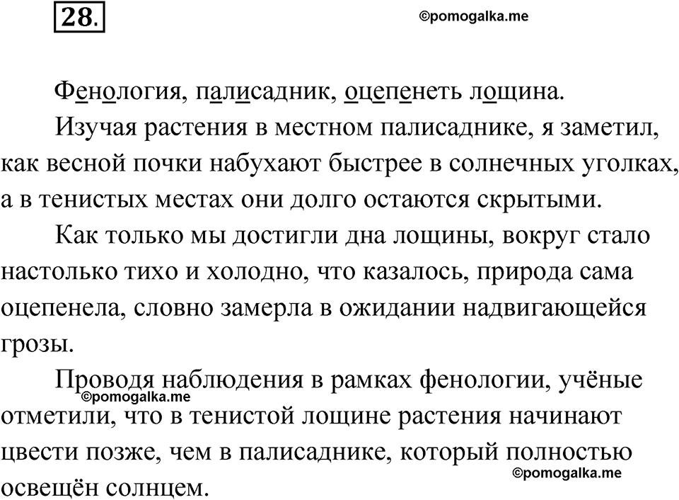 Глава 4 Упражнение 28 — решение 1